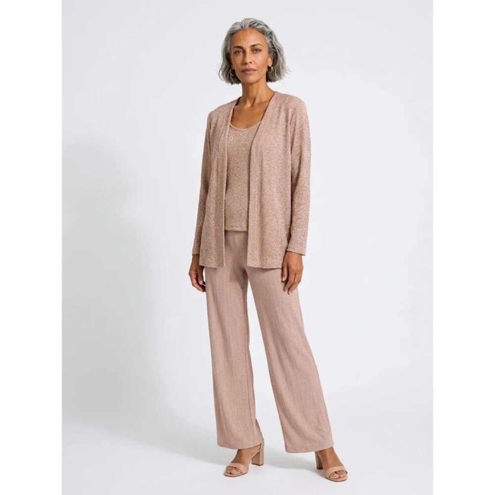 NEW R&M Richards 3-Piece Shimmer Occasion Set Size 14